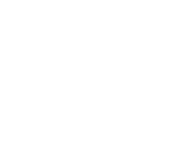 Disney Premier Properties Logo