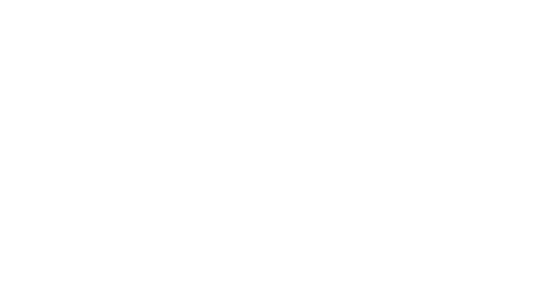 EXIT Palmetto Real Estate Services Logo