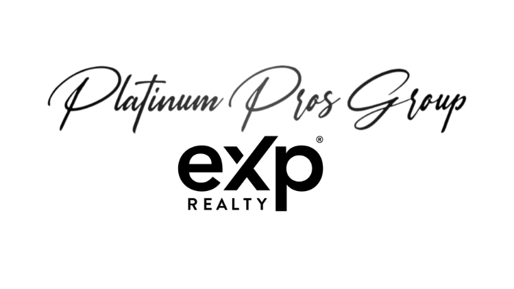 Platinum Pros Group Logo