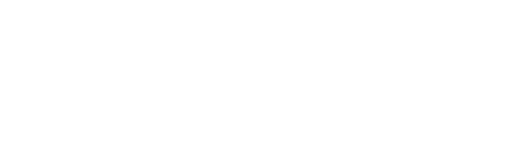 Image Realty Group LLC Logo
