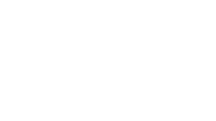 Lifestyle Realty Group Logo