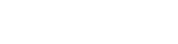 Coral Gables (Wise) Logo