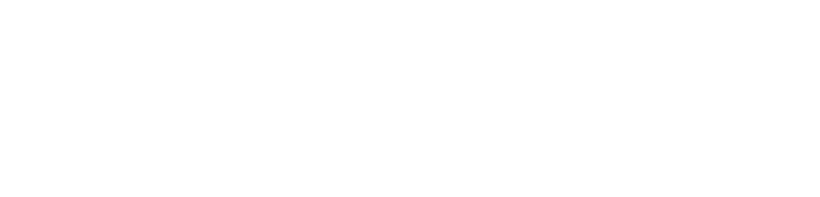 the Nelson Group Logo